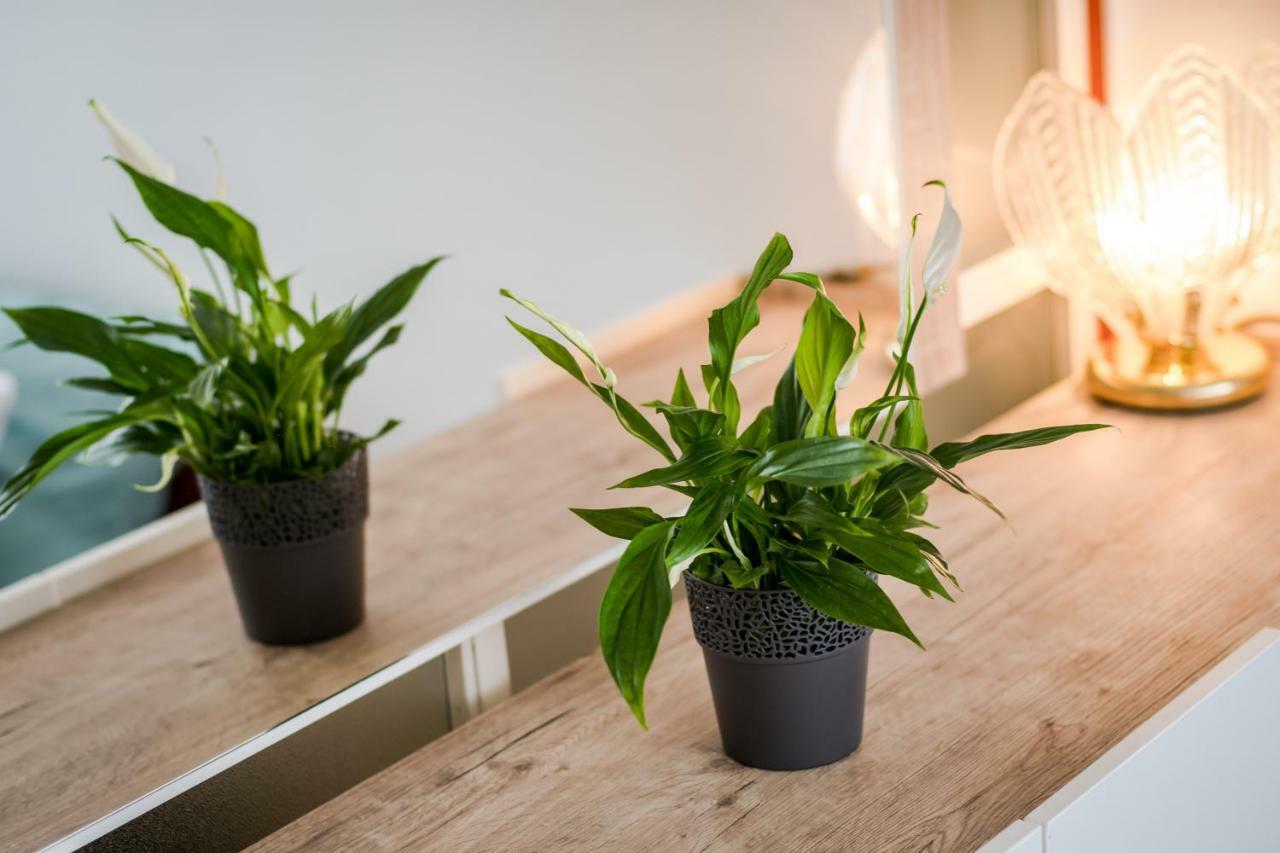 Apartament Lidia Split Zewnętrze zdjęcie